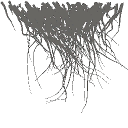 c5526_fur_a.png