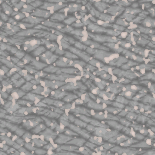 c5081_skin_a.png