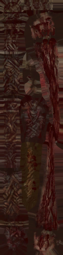 c5080_WP_A_0944_a.png