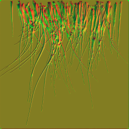 c5524_fur2_n.png