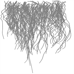 c5524_fur3_a.png