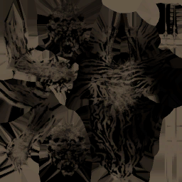 c6260_acc_em.png