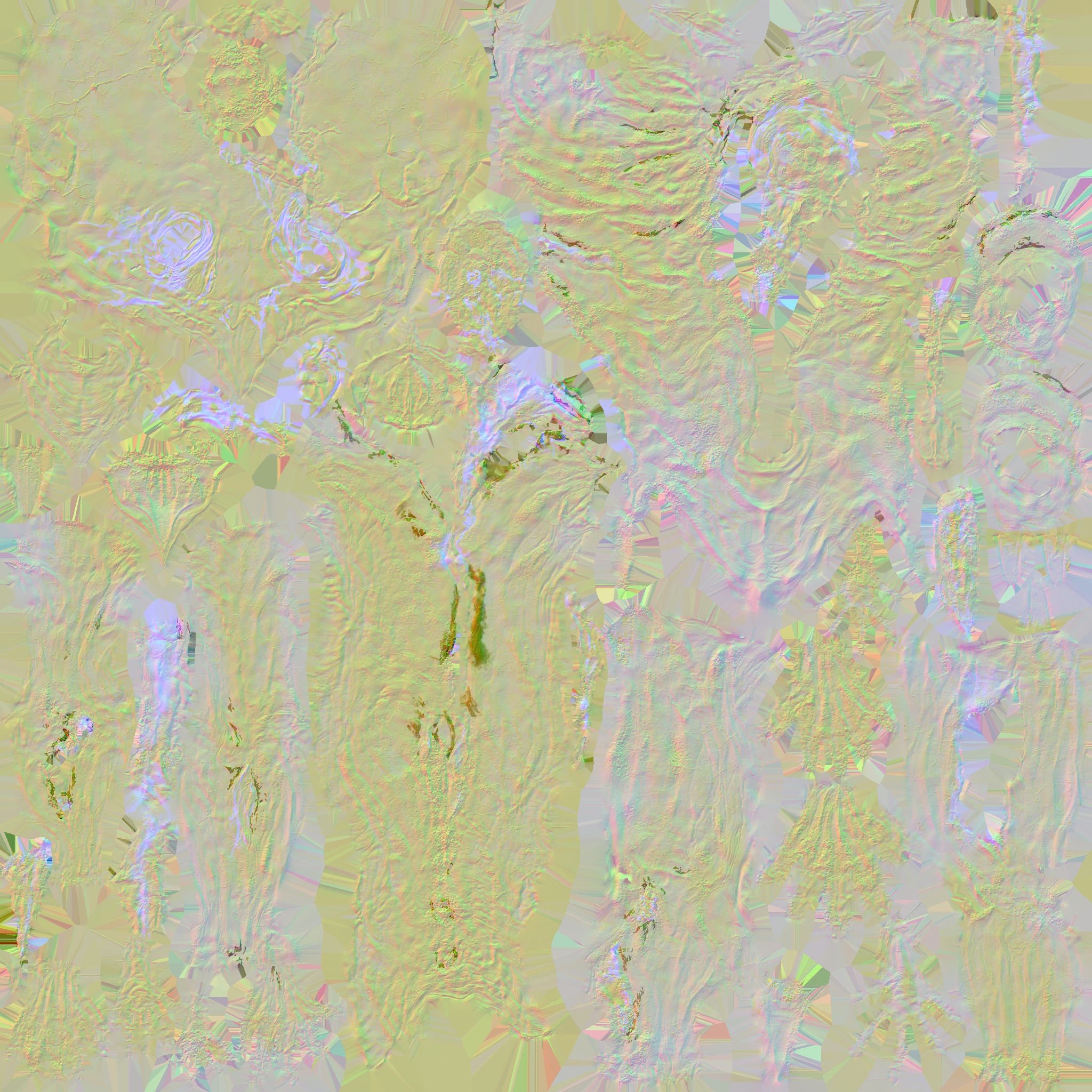 c6260_body_n.png