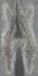 c5720_Fur_Color_a.png