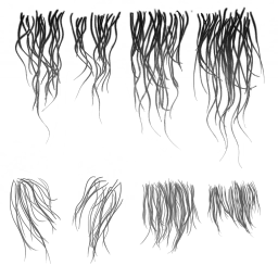 c5720_Fur_a.png