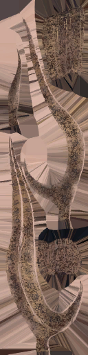 c5160_WP_dagger_a.png
