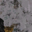 c5011_Fur_color_a.png