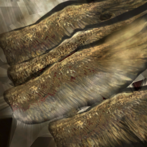 c5011_feather_color_a.png