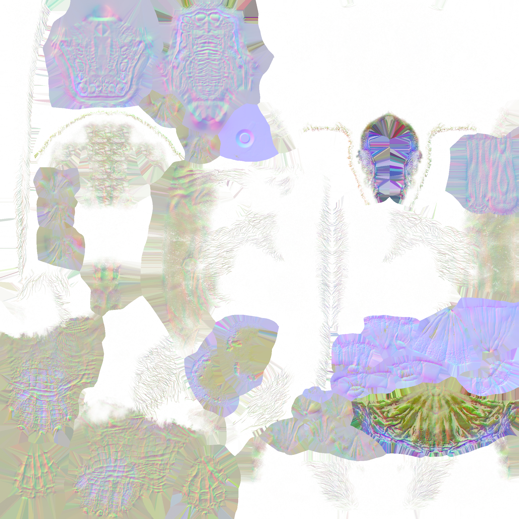 c5010_Body_n.png