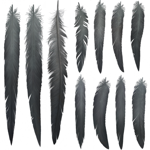 c5090_Fether_a.png
