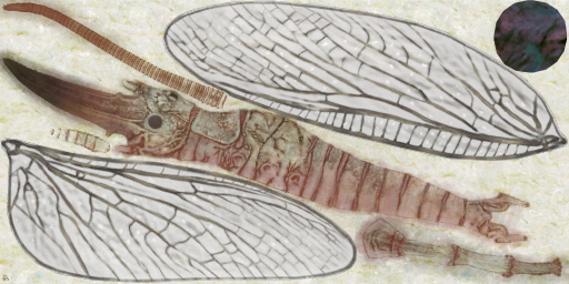 c5472_a.png