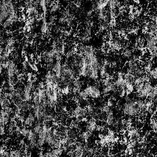 c5790_em.png