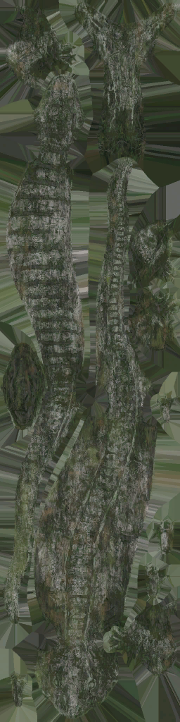 c5870_WP_A_0636_a.png