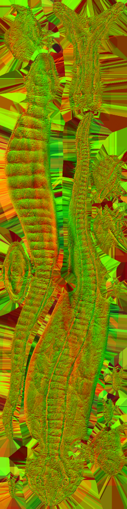 c5870_WP_A_0636_n.png