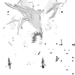 c5270_BodyFaces_1m.png