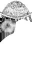 c5651_HD_m.png