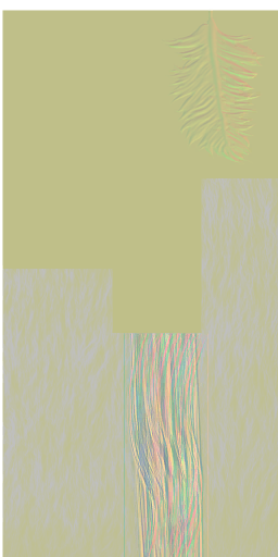c6290_fur_n.png