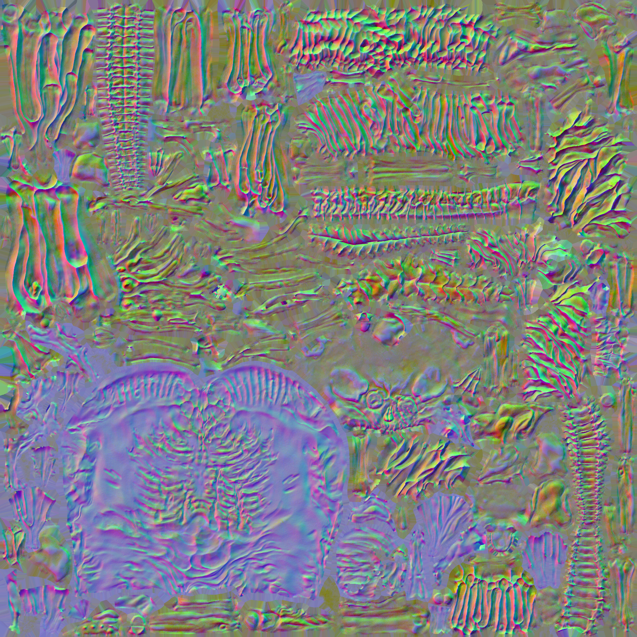 c5020_Body_n.png