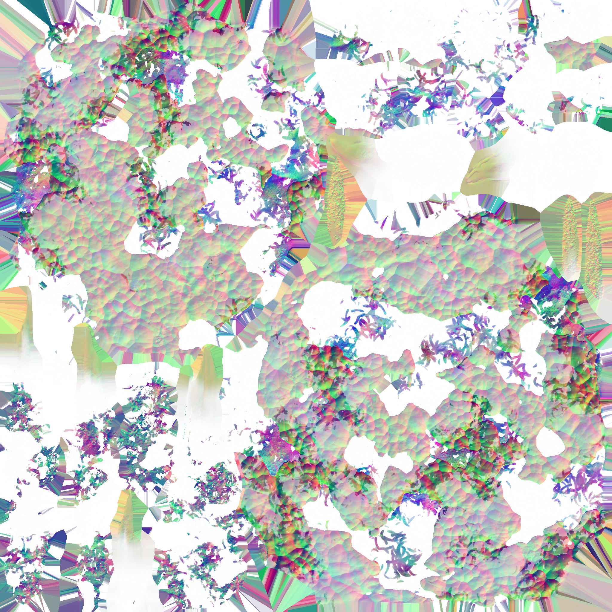 c5591_body_n.png