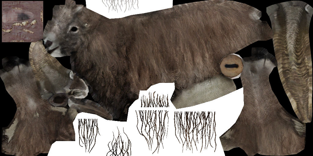 c5450_a.png