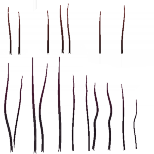 c5030_Fur_a.png