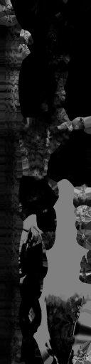 c5030_WP_A_1025_m.png