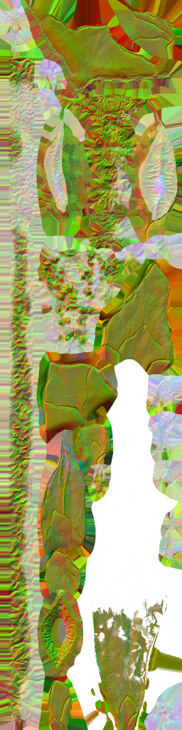 c5030_WP_A_1025_n.png
