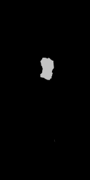 c5230_Body_m.png