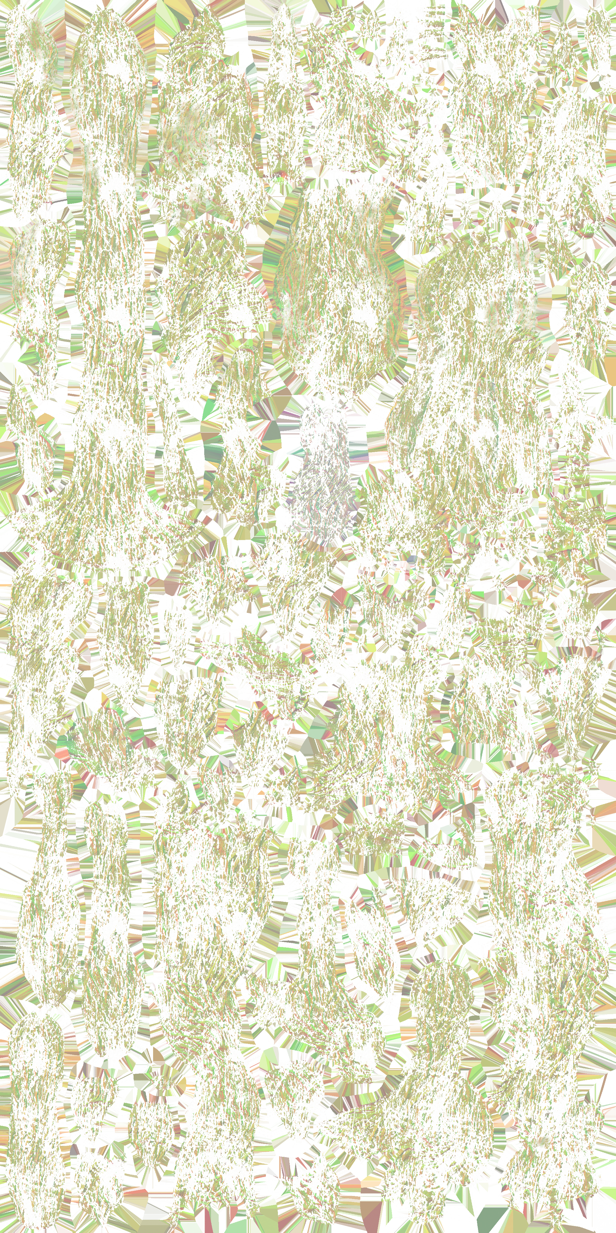 c5230_Body_n.png