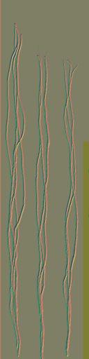 c5512_hair_n.png