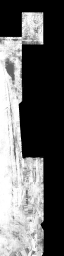 c5661_WP_A_1054_m.png