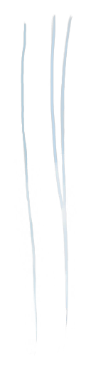 c5110_fur_a.png