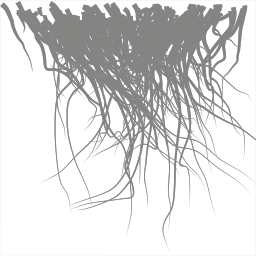 c5522_fur_a.png