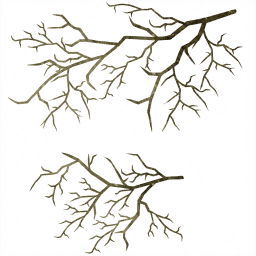 c6251_Tree_a.png