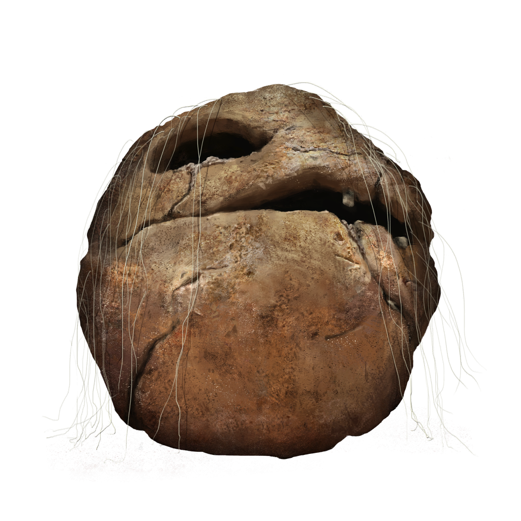 MENU_Knowledge_00101.png