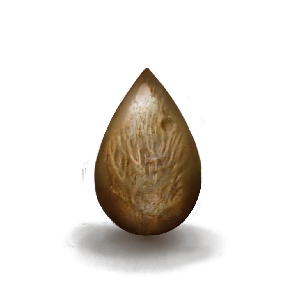 MENU_Knowledge_00248.png