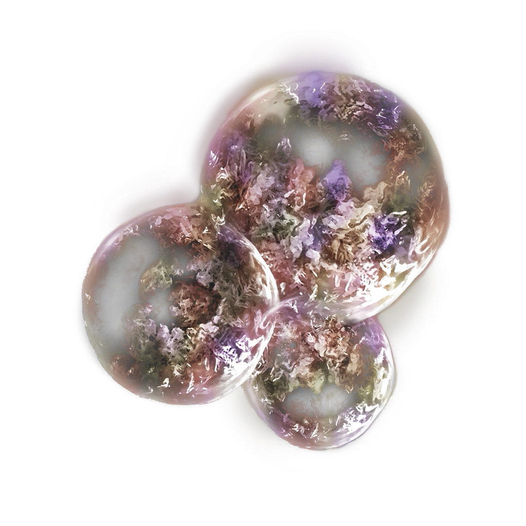 MENU_Knowledge_00406.png