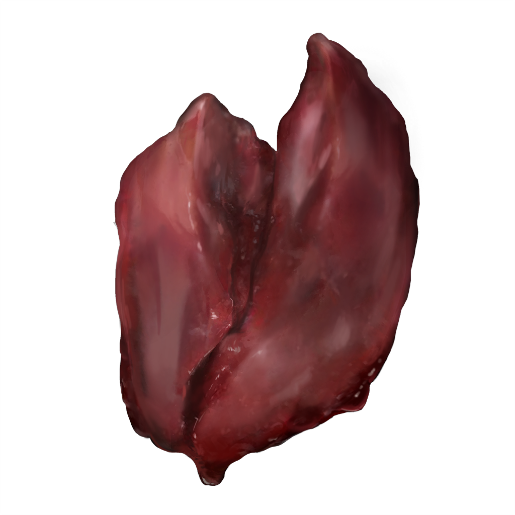 MENU_Knowledge_00507.png
