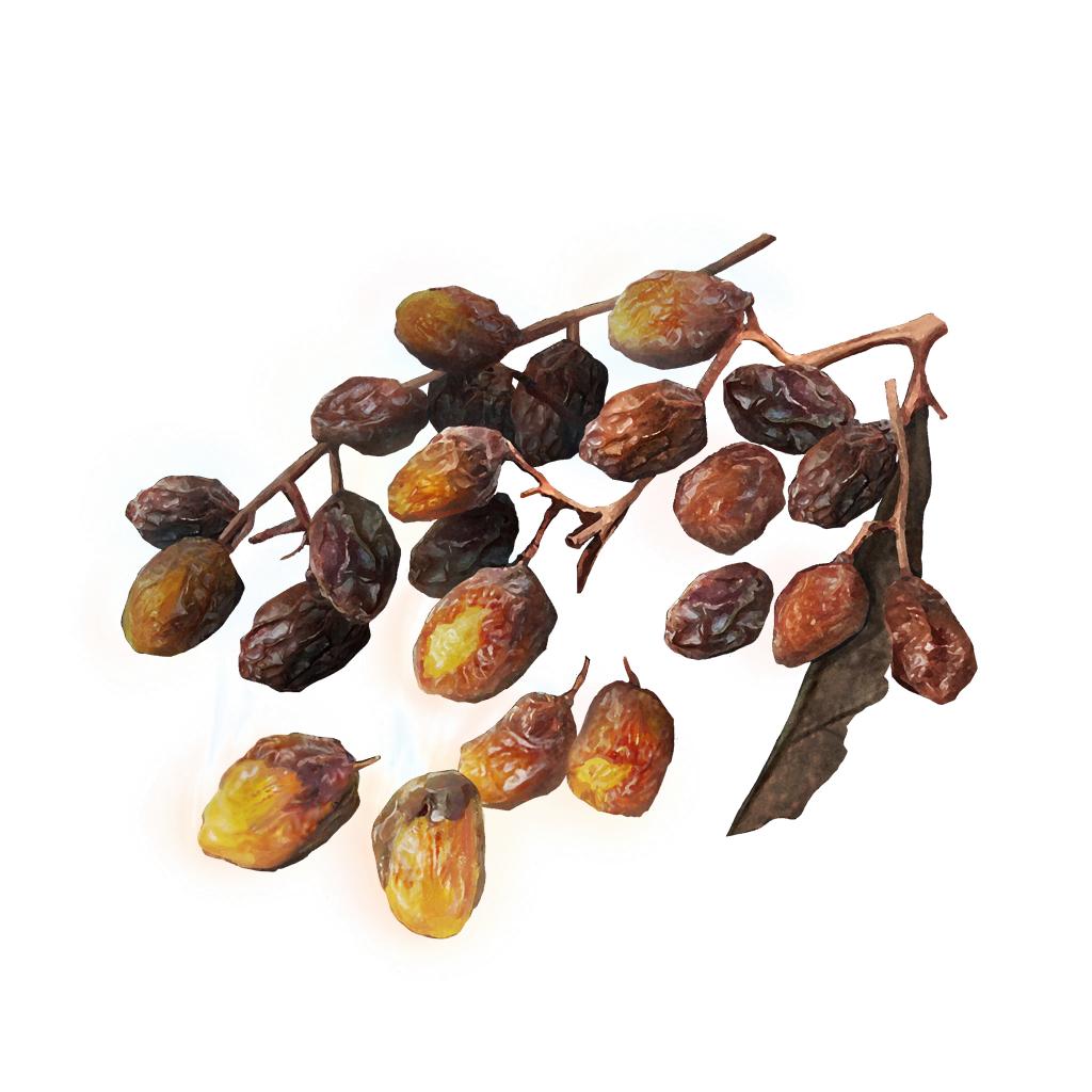 MENU_Knowledge_00607.png