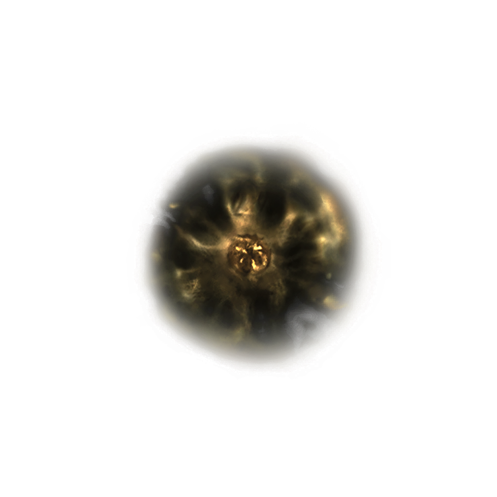 MENU_Knowledge_00813.png