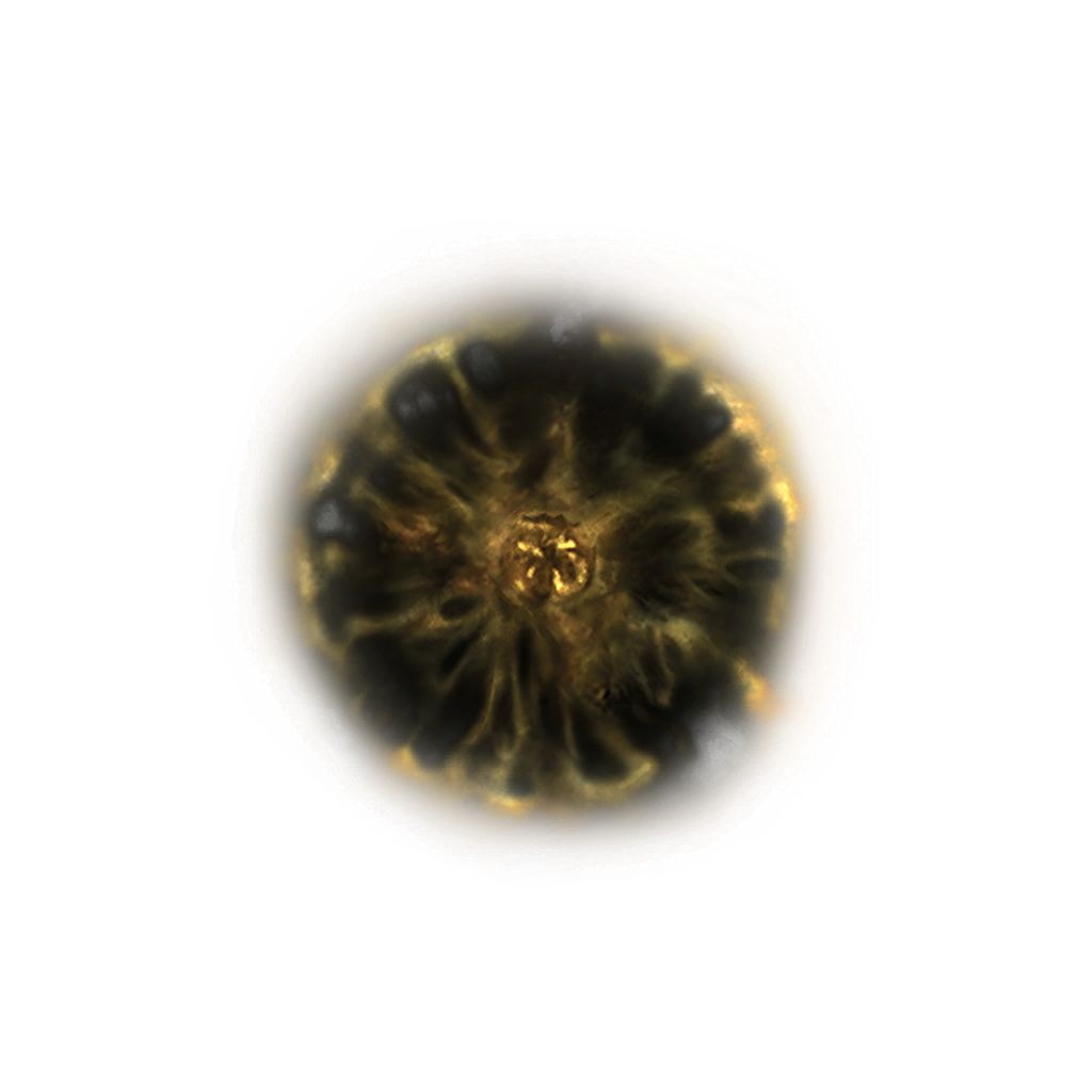 MENU_Knowledge_00815.png
