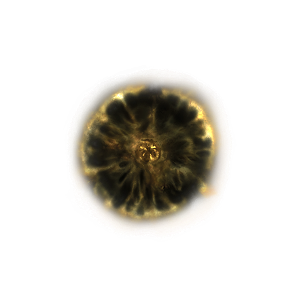 MENU_Knowledge_00816.png