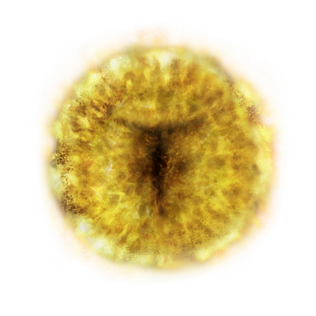 MENU_Knowledge_00821.png