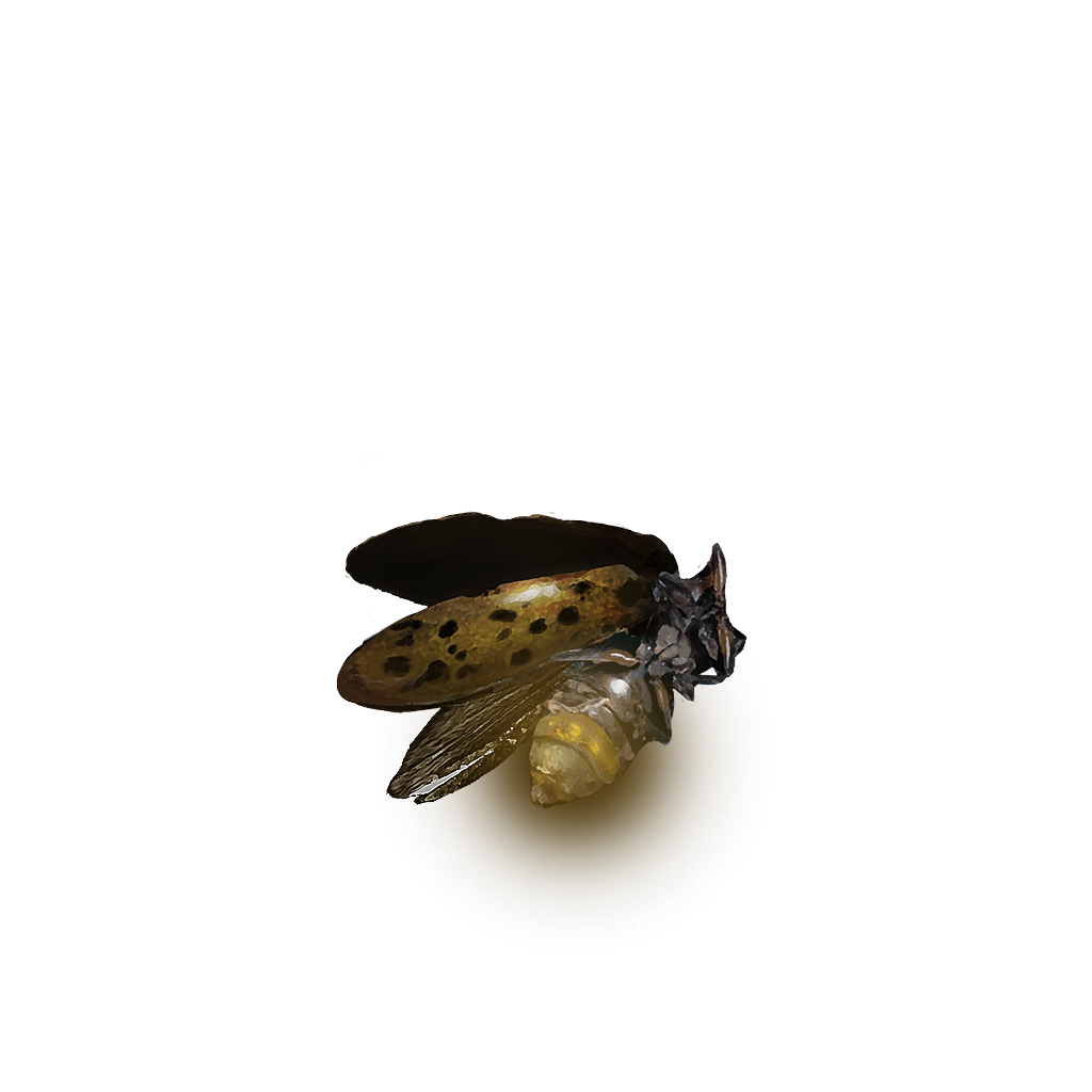 MENU_Knowledge_01019.png