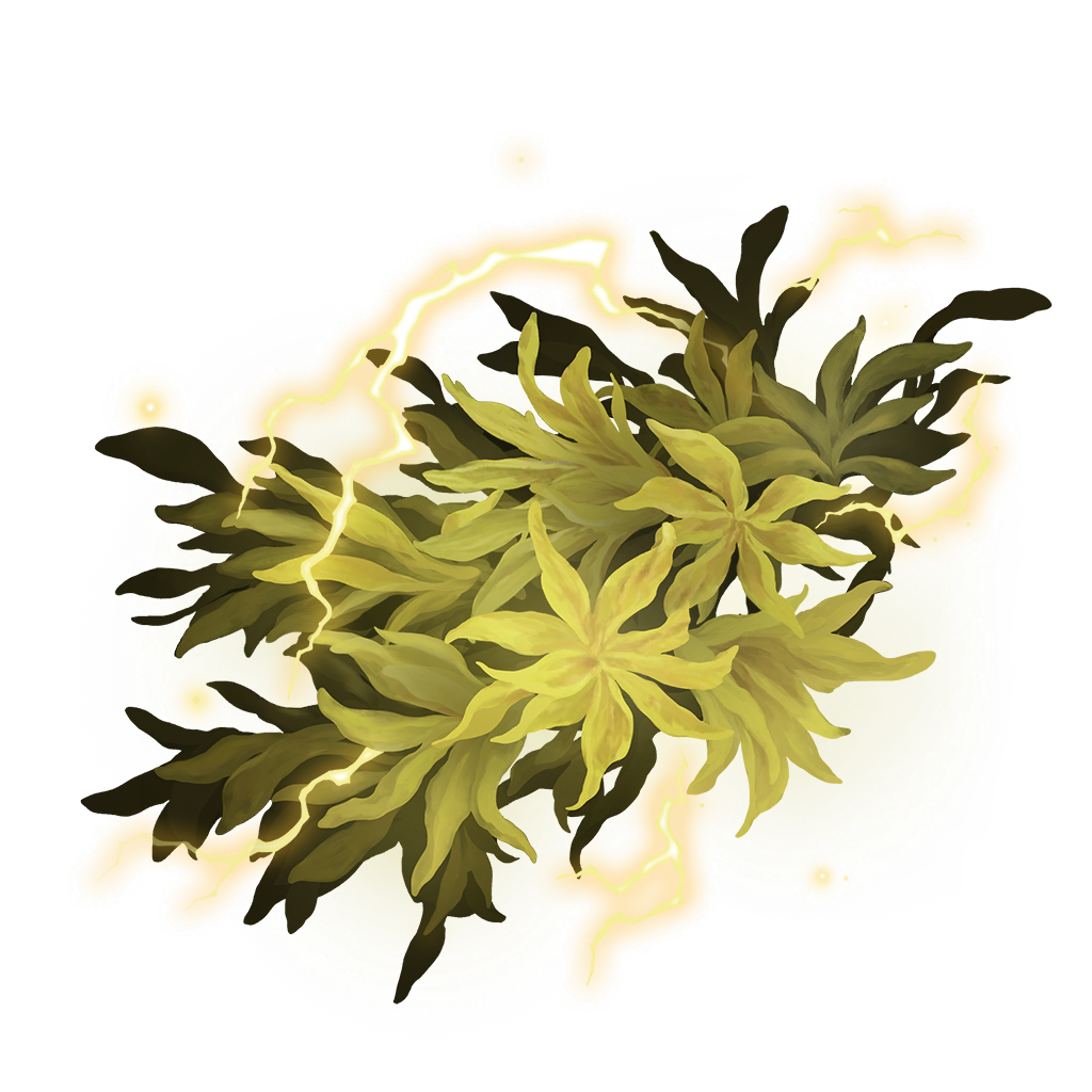 MENU_Knowledge_01031.png