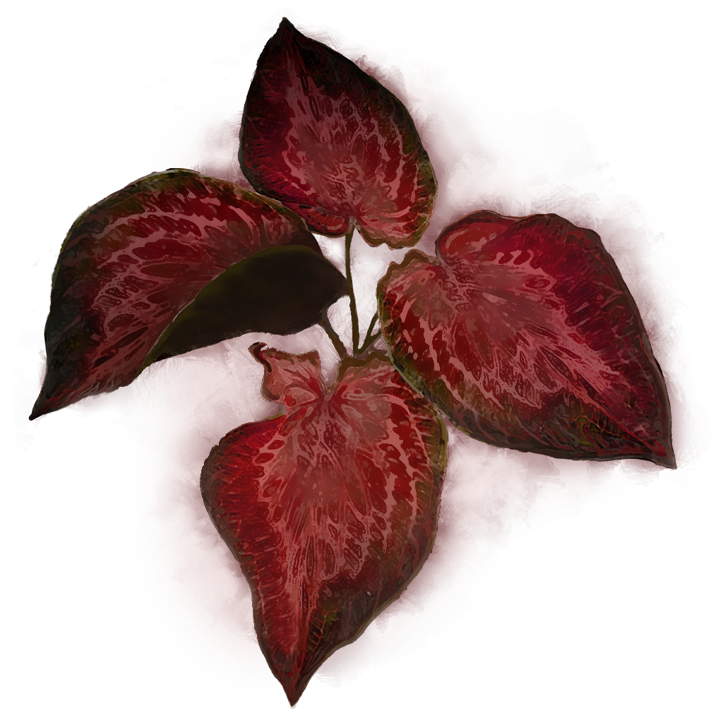 MENU_Knowledge_01042.png