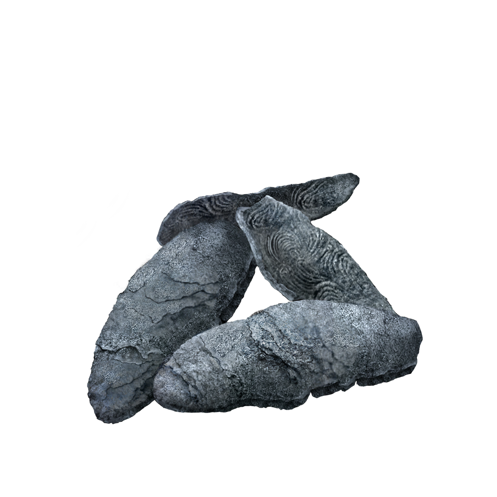 MENU_Knowledge_01132.png