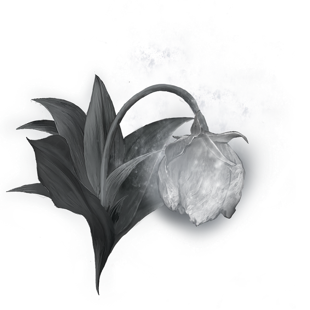 MENU_Knowledge_02109.png