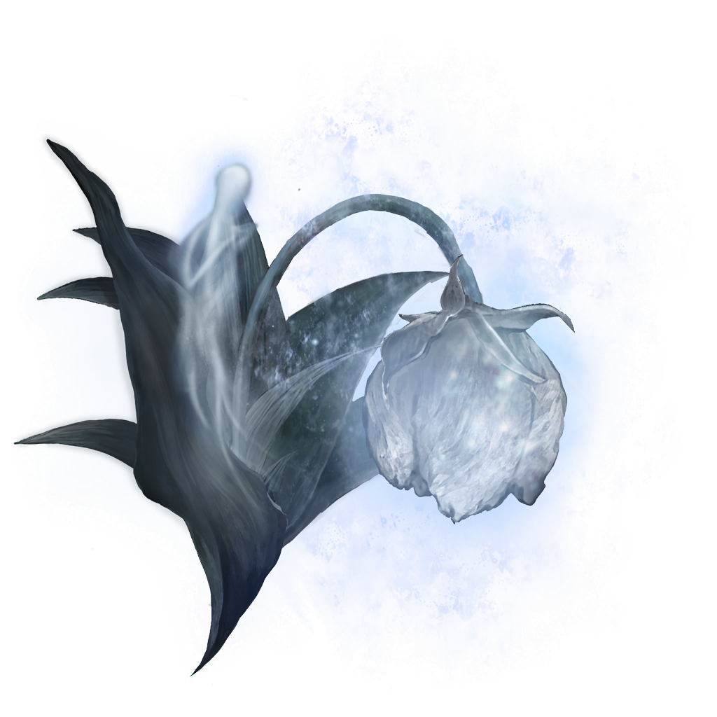 MENU_Knowledge_02119.png