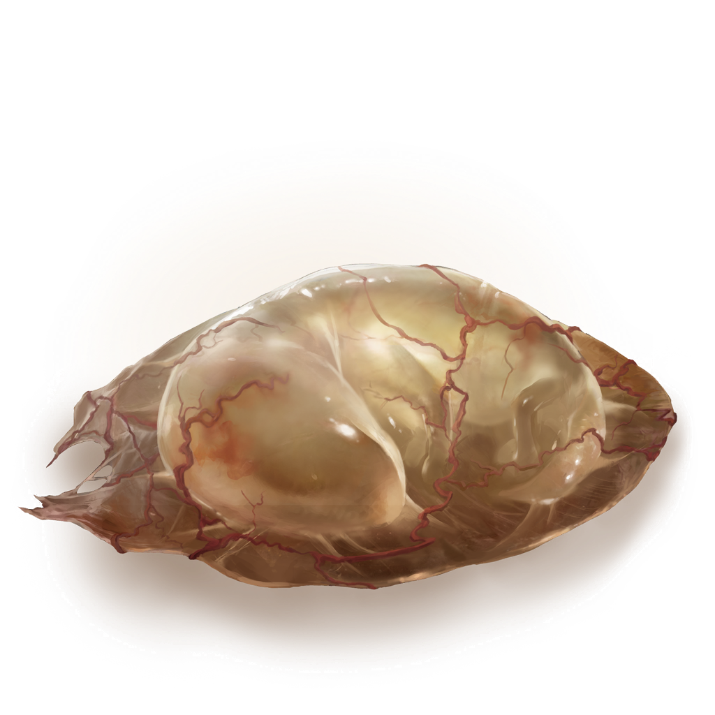 MENU_Knowledge_03057.png